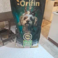 غذای خشک سگ