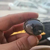انگشتر کلکسیونی شجر سنگین وزن