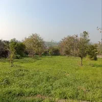 زمین باغ ویودار بزچفت بابلکنار|فروش زمین و ملک کلنگی|بابل, |دیوار