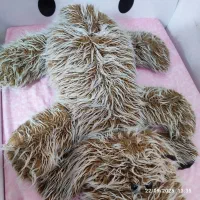 عروسک و اسباب بازی|اسباب‌‌بازی|شیراز, احمدآباد|دیوار