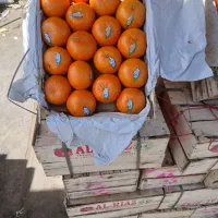 نارنگی پاکستانی