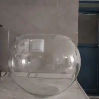 تنگ
