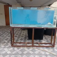 اکواریوم