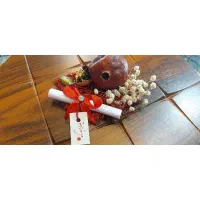 گیفت|زیورآلات و اکسسوری|تهران, بوستان ولایت|دیوار