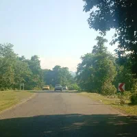 پی.ج دیوا.ر اهر