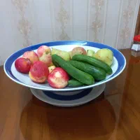 میوه خوری میبد یزد