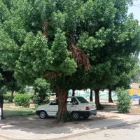 زمین-مهر-شهر
