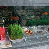 آکواریم بزرگ