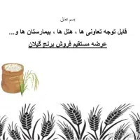 فروش برنج درجه یک گیلان و سوپر باسماتی پاکستان