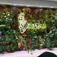 دیوار گرین وال