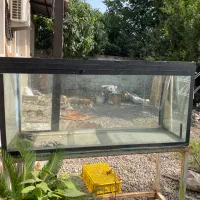 اکواریوم و پایه|ماهی|قائمشهر, |دیوار