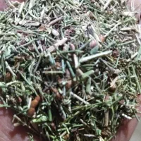 خارشتر .چغندر .کاه