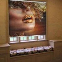 پرده چاپی // کرکره  زبرا   پانچی  فلزی  شید  ضدآب