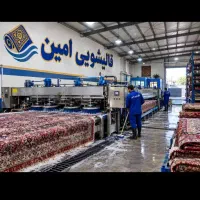 قالیشویی امین