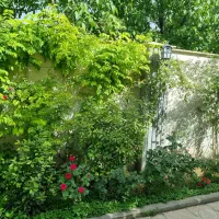 ۵۵۵ متر باغچه شهرک حمیدیه تهاتر|فروش خانه و ویلا|هشتگرد, حمیدیه|دیوار