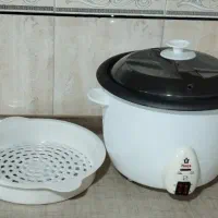 پلوپز برقی
