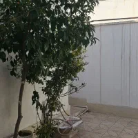 ویلایی-بازسازی-شده-پشت-بیمارستان-کاشانی-سیروس