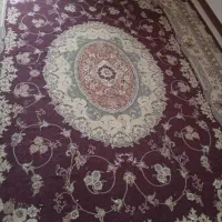 فرش قرمز ۱۲ متری