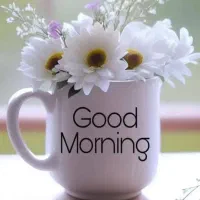 اجاره صندلی سالن زیبایی