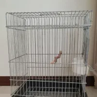 قفس پرنده