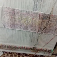 قالی زرنیم|فرش|کشکسرای, |دیوار