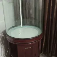 اکواریوم