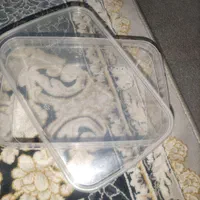 ظروف پلاستیکی نظم دهنده تب پلاست|ظروف نگهدارنده، پلاستیکی، یکبارمصرف|قرچک, شهرک طلائیه|دیوار