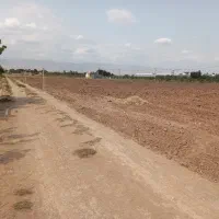 فروش زمین کشاورزی|فروش زمین و ملک کلنگی|نظرآباد, خسروآباد|دیوار