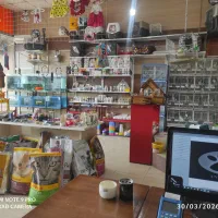 استخدام نیرو کار در مجموعه دهکده حیوانات هادیشهر