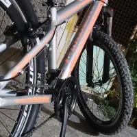 دوچرخه پاور آت