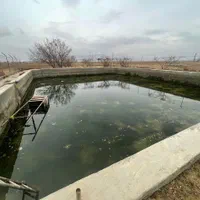 ۱۵ هکتار جاده تهران سند تک برگ با ۴ اینچ آب|فروش زمین و ملک کلنگی|معصومیه, |دیوار