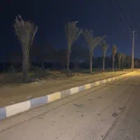 زمین