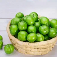 پیش فروش نهال گوجه سبز نخجوان|خدمات باغبانی و درختکاری|بابل, |دیوار