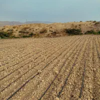 زمین کشاورزی برای باغچه