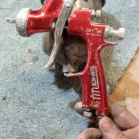 پیسوله یک سوم استار تایوانی