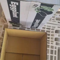 فروش کارتن صادراتی بادمجان|عمدهفروشی|یزد, |دیوار