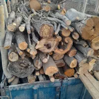 خریدار انواع چوب هیزمی زغالی ریشه درخت|خدمات باغبانی و درختکاری|آبیک, |دیوار