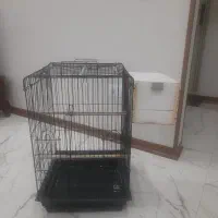 قفس بزرگ در حدنو