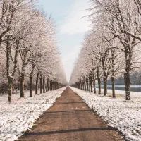 سیم کارت 09133413050