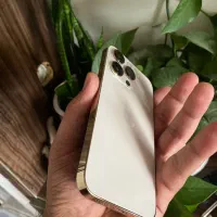13pro256zaa