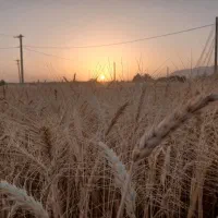حرکت به سمت اصفهان