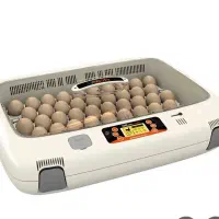 دستگاه جوجه کشی آرکام 50