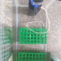 آکواریوم|ماهی|بوکان, |دیوار