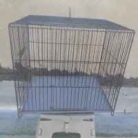 قفس پرنده|لوازم جانبی حیوانات|تهران, زیبادشت|دیوار