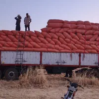کاه