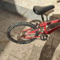 دوچرخه ۱۶|دوچرخه، اسکیت، اسکوتر|قم, چهل درخت|دیوار