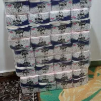 دستمال کاغذی|مواد شوینده و دستمال کاغذی|شوش, |دیوار