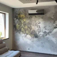پتینه و میکروسمنت
