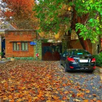 1000متر-کلنگی-سپند-بدون-ریشه-TOP-Location