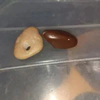 سنگ|زیورآلات و اکسسوری|تربت جام, فاز ۲ فرهنگیان|دیوار